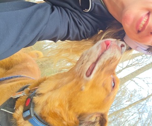 Fundraising Page: Kristy Lenard